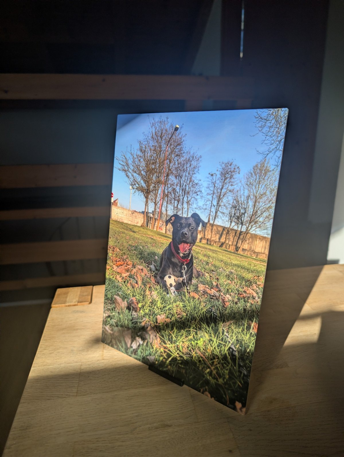 HD-Metallbild mit Hundefoto auf dem Tischständer